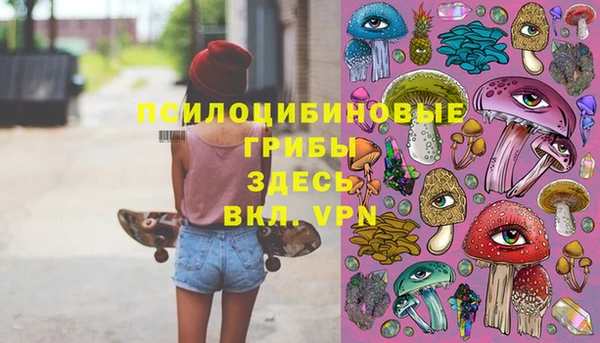 МДПВ Бронницы
