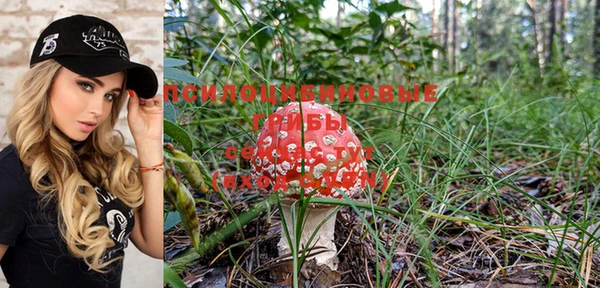 ПСИЛОЦИБИНОВЫЕ ГРИБЫ Богородицк