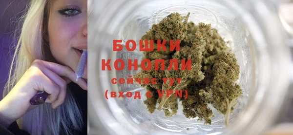 ПСИЛОЦИБИНОВЫЕ ГРИБЫ Богородицк